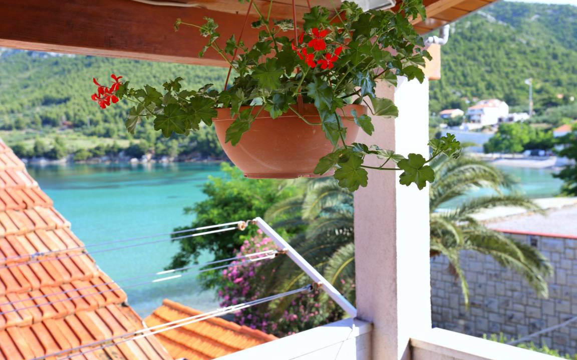 Zuljana Apartment | 24 m² Apartment ∙ 1 bedroom ∙ 3 guests