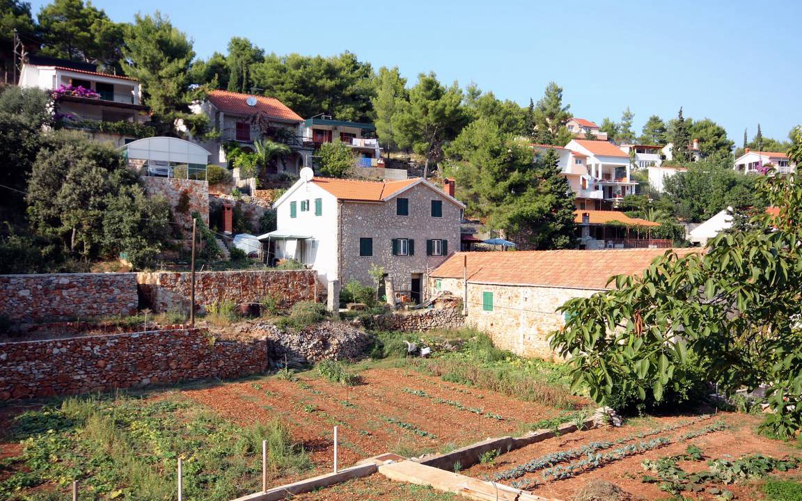 Cove Basina (Jelsa) Apartment | 40 m² Apartment ∙ 1 bedroom ∙ 2 guests