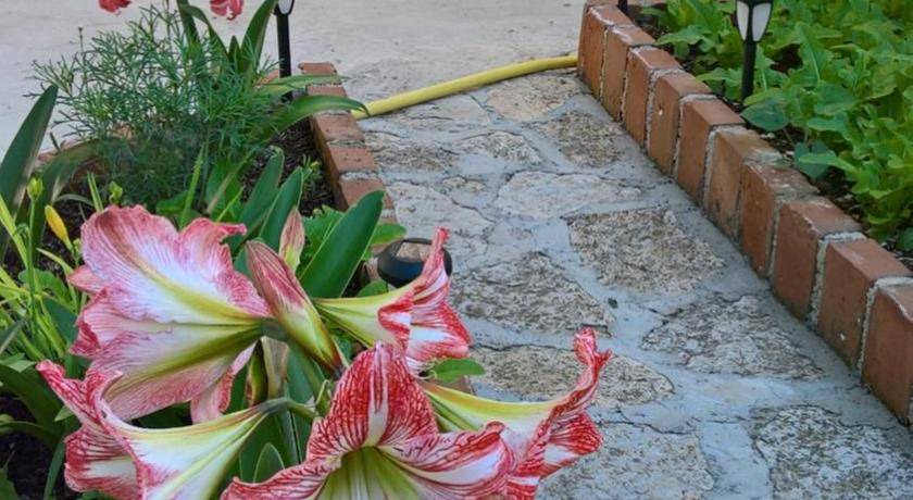 Nerezine Bed & Breakfast | 58 m² Bed and breakfast ∙ 2 bedrooms ∙ 4 guests