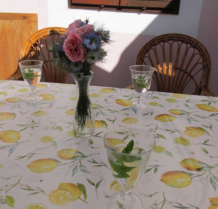 Veli Losinj Apartment | Anita - apartment Danica