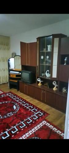 Vulcan Apartment | Apartament 2 camere