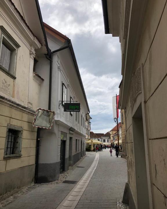 Radovljica Apartment | Apartma Linhartov trg