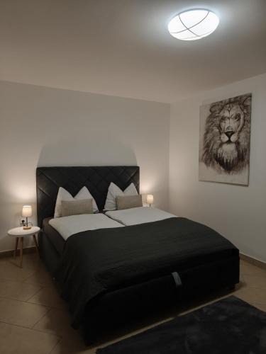 Slavonski Samac Apartment | Apartman Ćosić