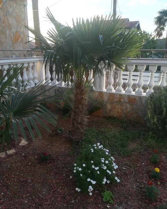 Krusevo Apartment | Apartman Amadea 2