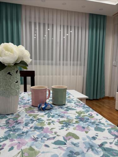 Doboj Apartment | Apartman Andjela Doboj
