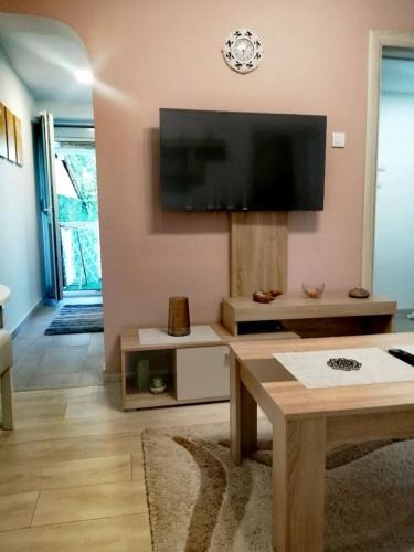 Bor Apartment | Apartman SIMONA