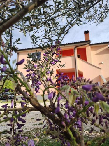 Brkac Apartment | Apartman Tramonto
