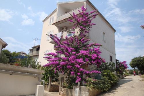 Island Dugi Otok Apartment | Apartmani Gojko