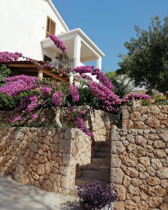 Sveta Nedjelja House | Apartmani Nila