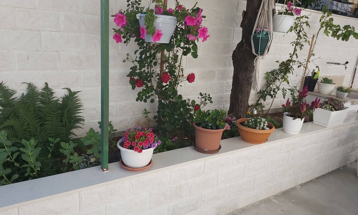 Hvar Old Town House | Apartmani Teo