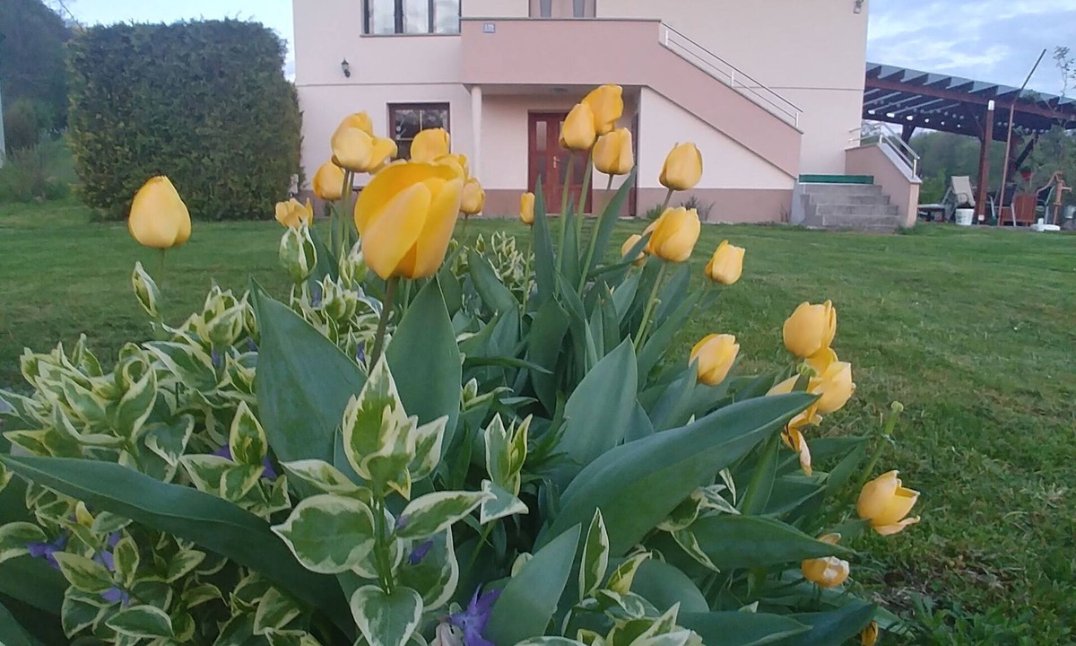 Grabrovnik Apartment | Apartment Arena (4+2), very close to the wellness centra Sv. Martin
