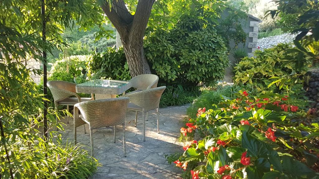 Trsteno Apartment | Apartment Barica