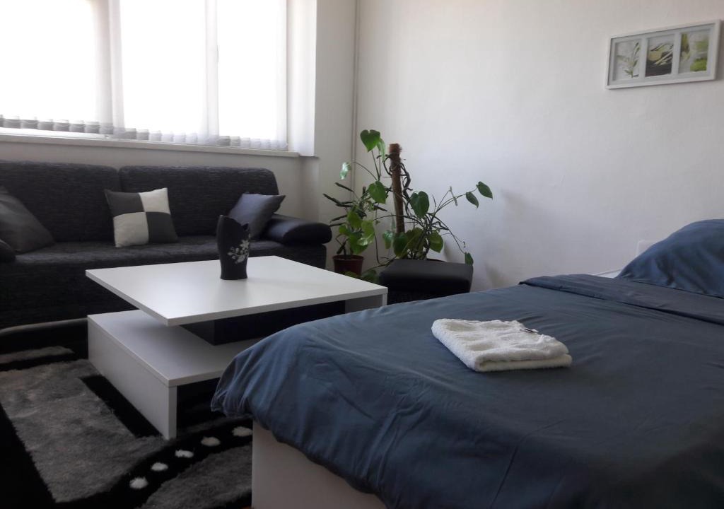 Mali Radic Apartment | Apartment Beton