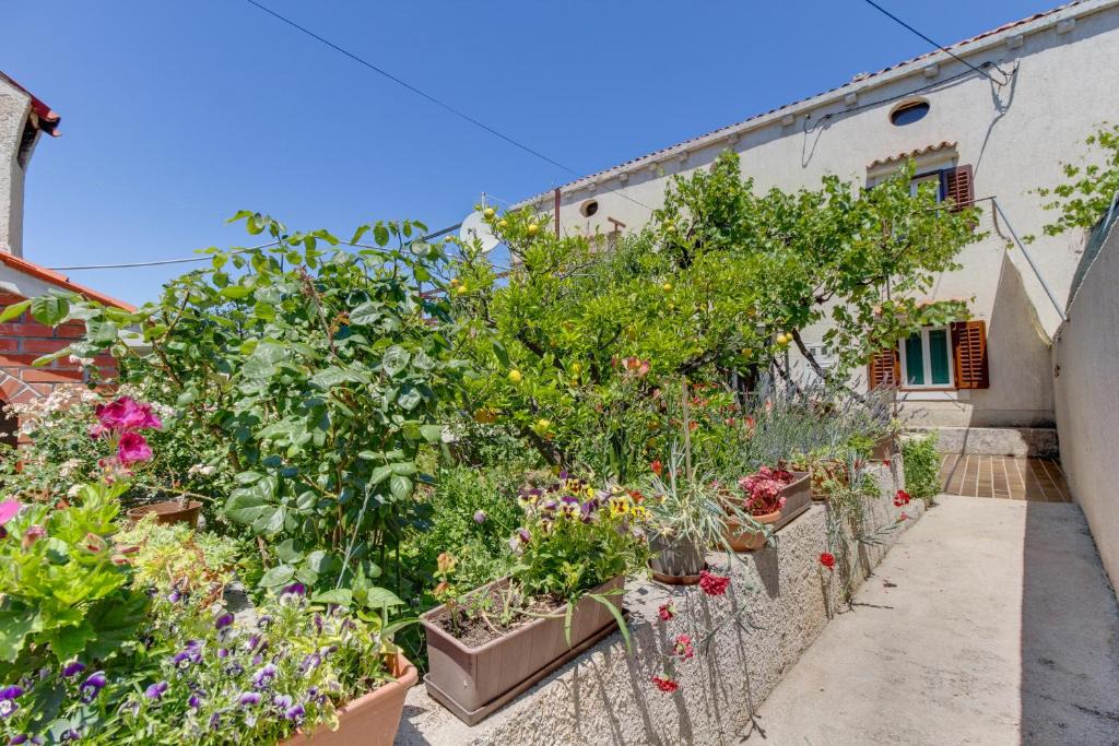 Veli Losinj Apartment | Apartment Carmen