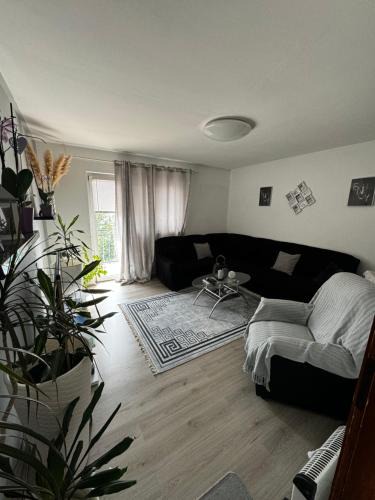 Senj Apartment | Apartment Danijela
