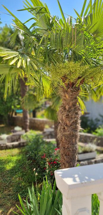 Mihotici Apartment | Apartment Garden & Sea
