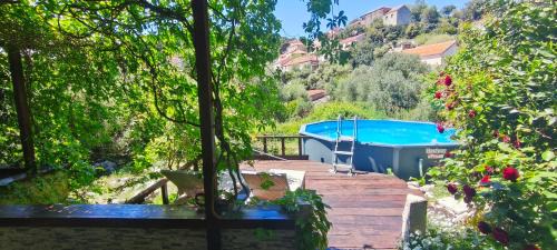 Mljet Apartment | Apartment Glavica