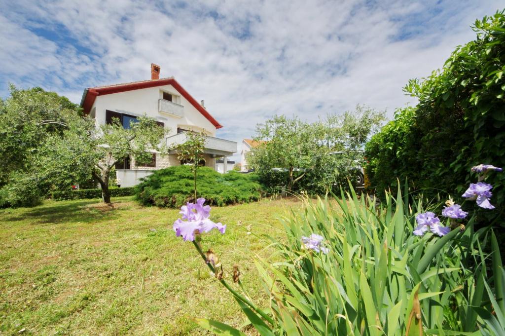 Vrsi Apartment | Apartment Ivan