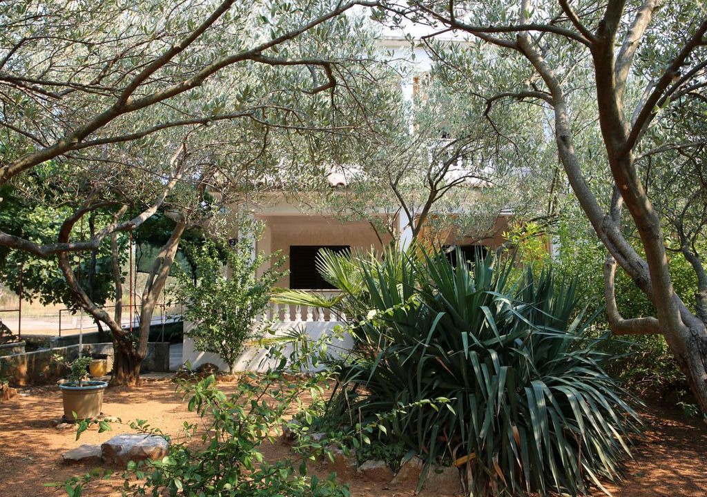 Vrgada Apartment | Apartment Ivo A1 Vrgada (Island Vrgada), Riviera Biograd