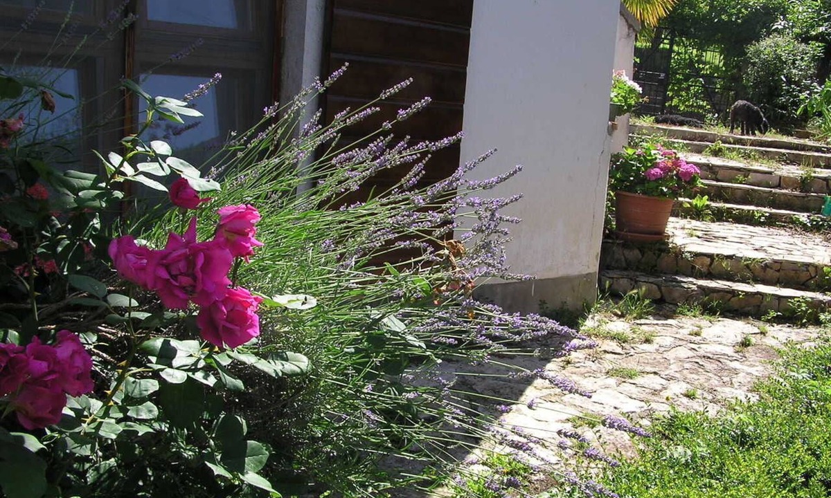 Motovun Apartment | Apartment Motovun 1 comfortable, spaceous, garden, terrace. view, parking