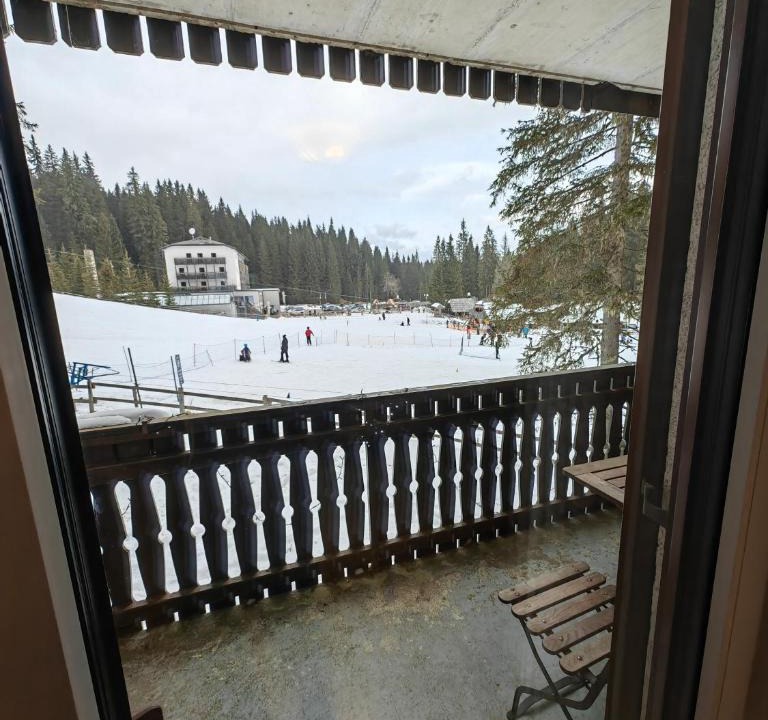 Goreljek Apartment | Apartment Ski Sara Pokljuka