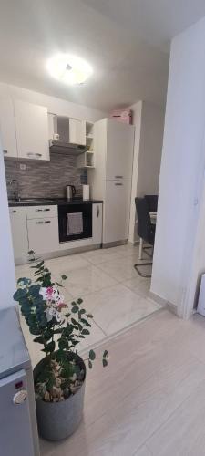 Cove Parja Apartment | Apartment ZORA
