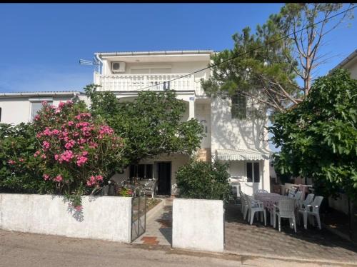 Povljana Apartment | Apartments B&B