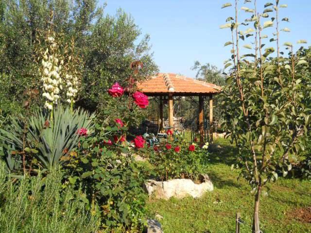 Sutomiscica Apartment | Apartments Branimir