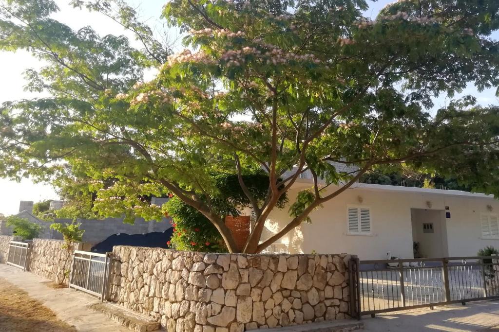 Kobas Apartment | Apartments by the sea Cove Saplunara, Mljet - 4896