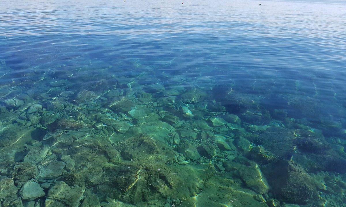 Island Hvar Apartment | Apartments Caric