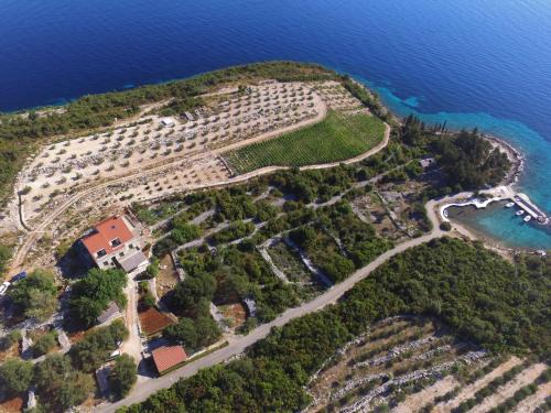 Apartments Koras | Kneza