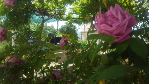 Stara Baska Apartment | Apartments Laura