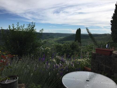 Padna Apartment | Apartments Padna Goja