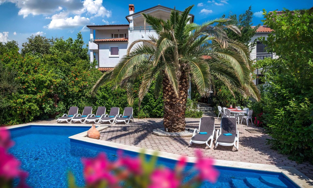 Pjescana Uvala Apartment | Beautiful apartment in Pjescana Uvala