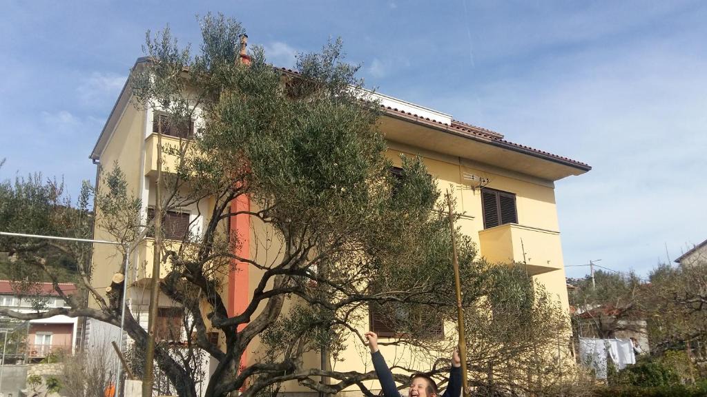Mundanije Apartment | Begovi Dvori