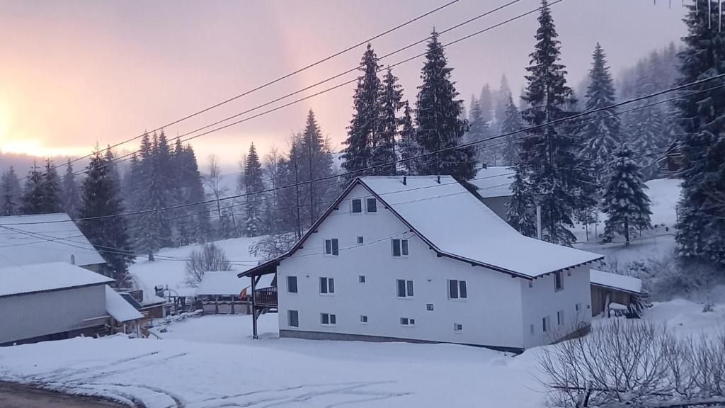 Arieseni House | Cabana Valea Arieșului