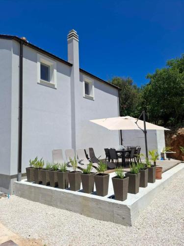Belej House | Casa Bellea