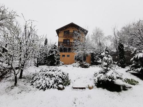Comarnic House | Casa Bunicii Comarnic