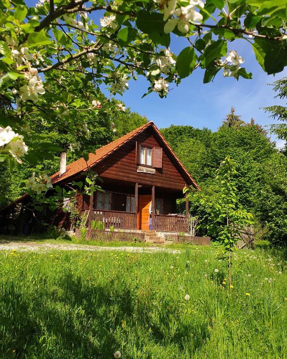 Simbata de Sus House | Casa Lacramioara