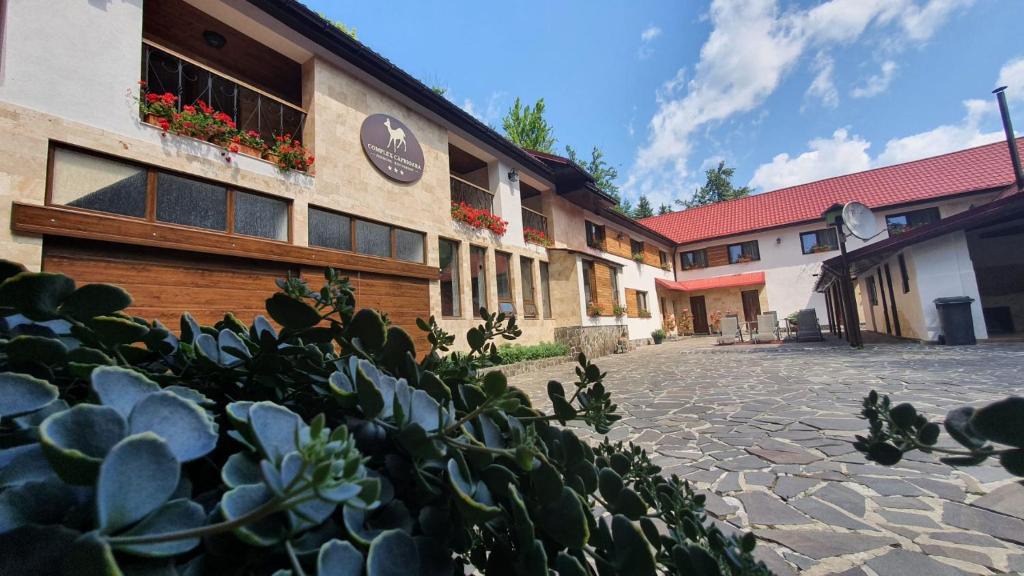 Firiza Hotel | Complex Turistic Caprioara