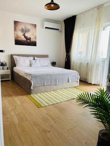 Emanoil Gojdu Apartment | Cosy Nest Deva