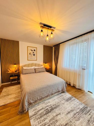 Piatra Neamt Apartment | Cozy Home