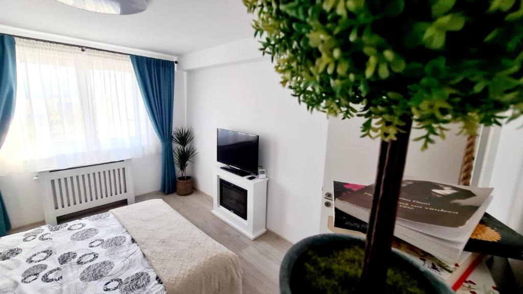 Tractorul Apartment | Cozy Studio