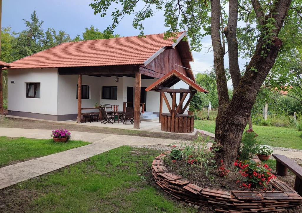 Pesteana House | Dumbrava Minunată