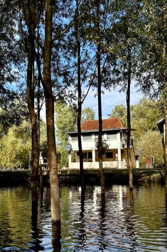South Backa District House | Emily's house