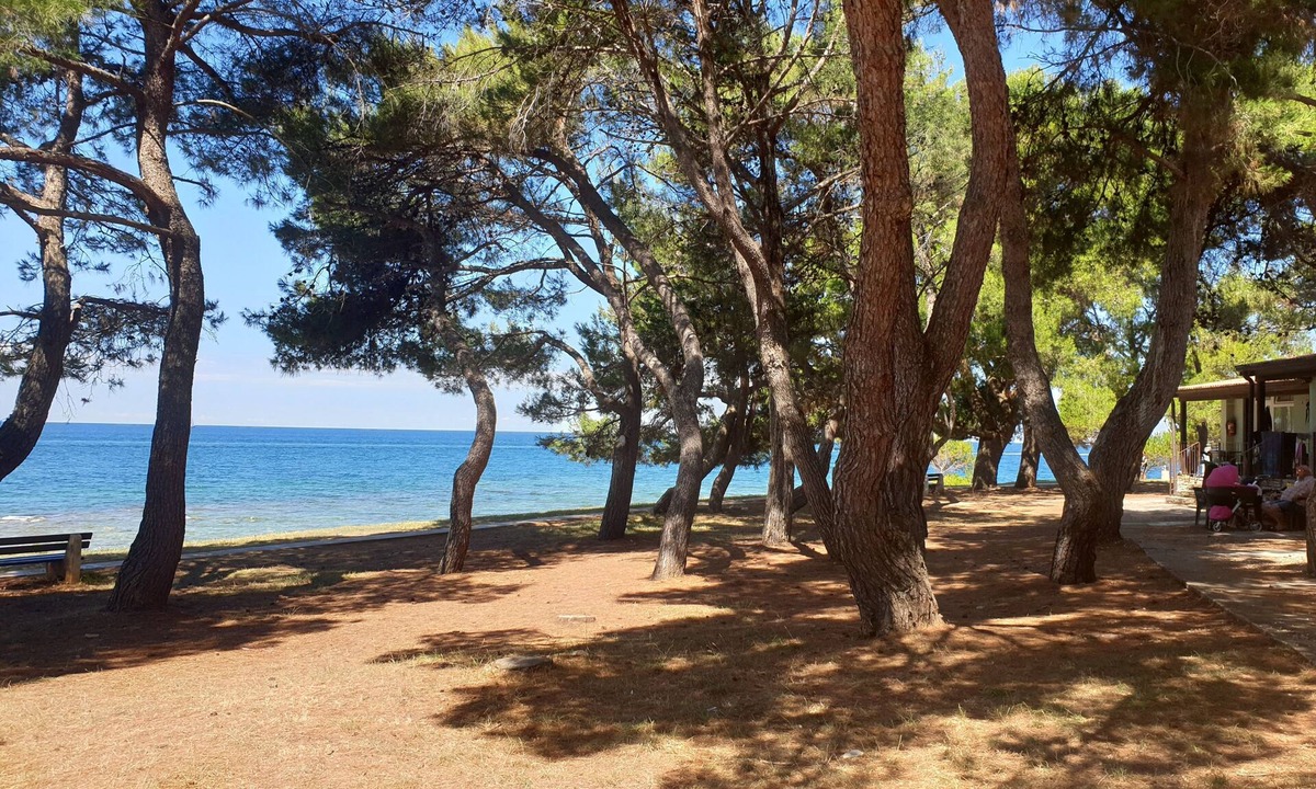 Novigrad Apartment | Family Bungalow Pineta