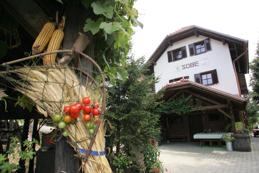Ljutomer House | Farm Stay Frank Ozmec Wine and Glamping estate
