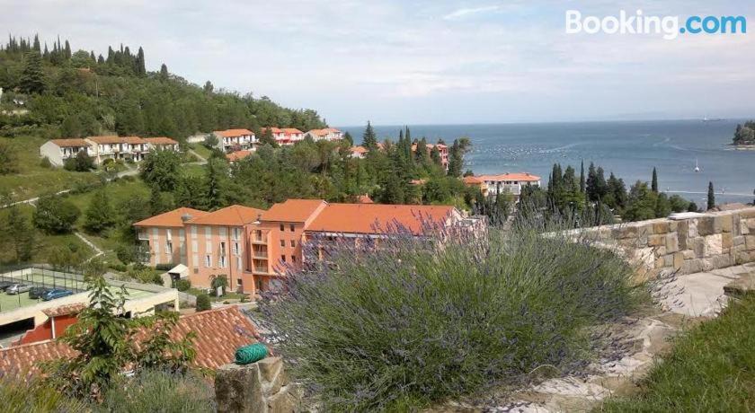 Strunjan Apartment | Heart of Strunjan Apartments AL