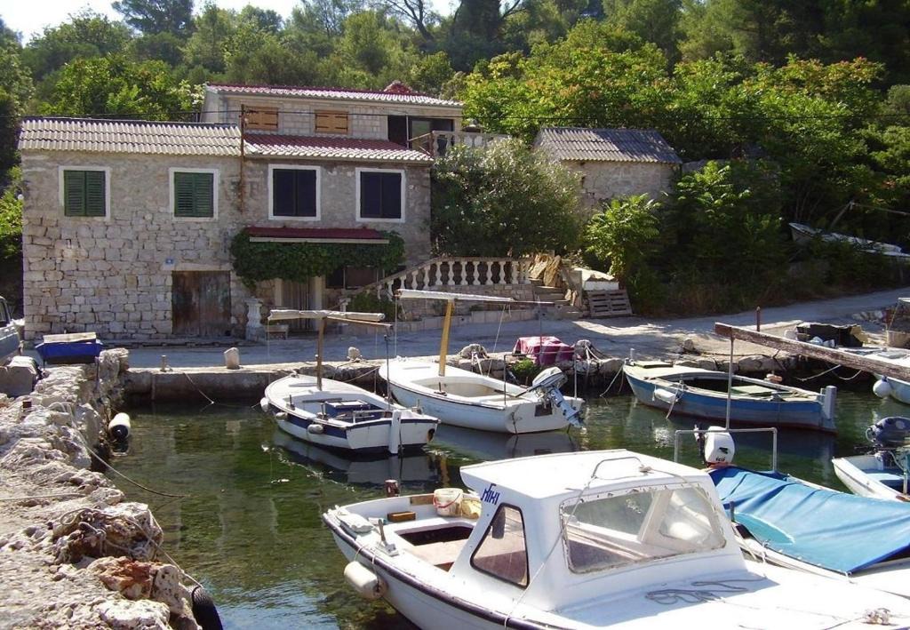 Cove Donja Krusica (Donje selo) House | Holiday home Nik - 5m from sea