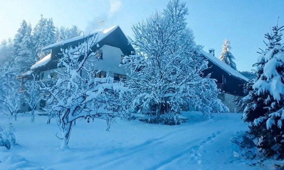Trsce House | Holiday house with a parking space Srednja Draga, Gorski kotar (K-24140)